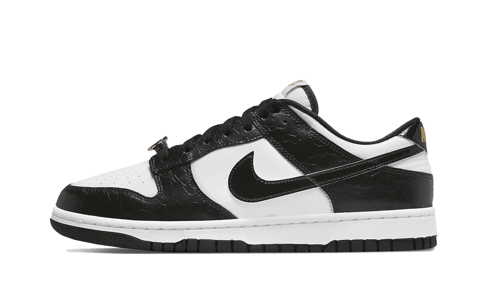 Nike Dunk Low Panda World Champs Right Cross Athletics